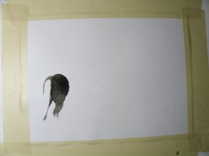 A beginning (from the rear)