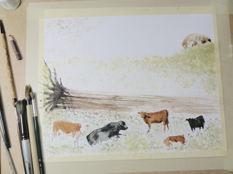 OLYMPUS DIGITAL CAMERA