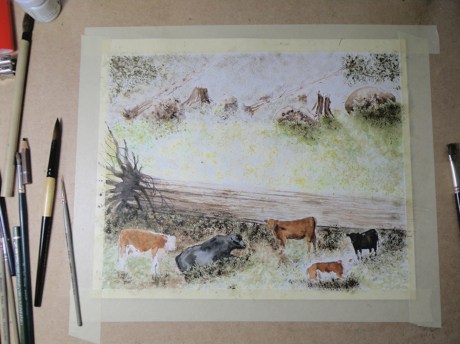 OLYMPUS DIGITAL CAMERA