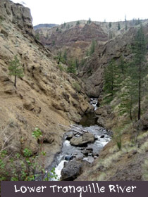 Lower Tranqulle River