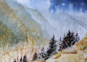 OLYMPUS DIGITAL CAMERA