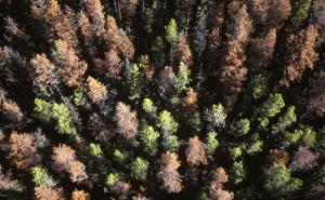 INTERIOR BC A061_536