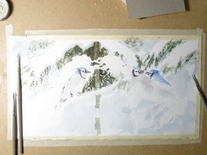 OLYMPUS DIGITAL CAMERA