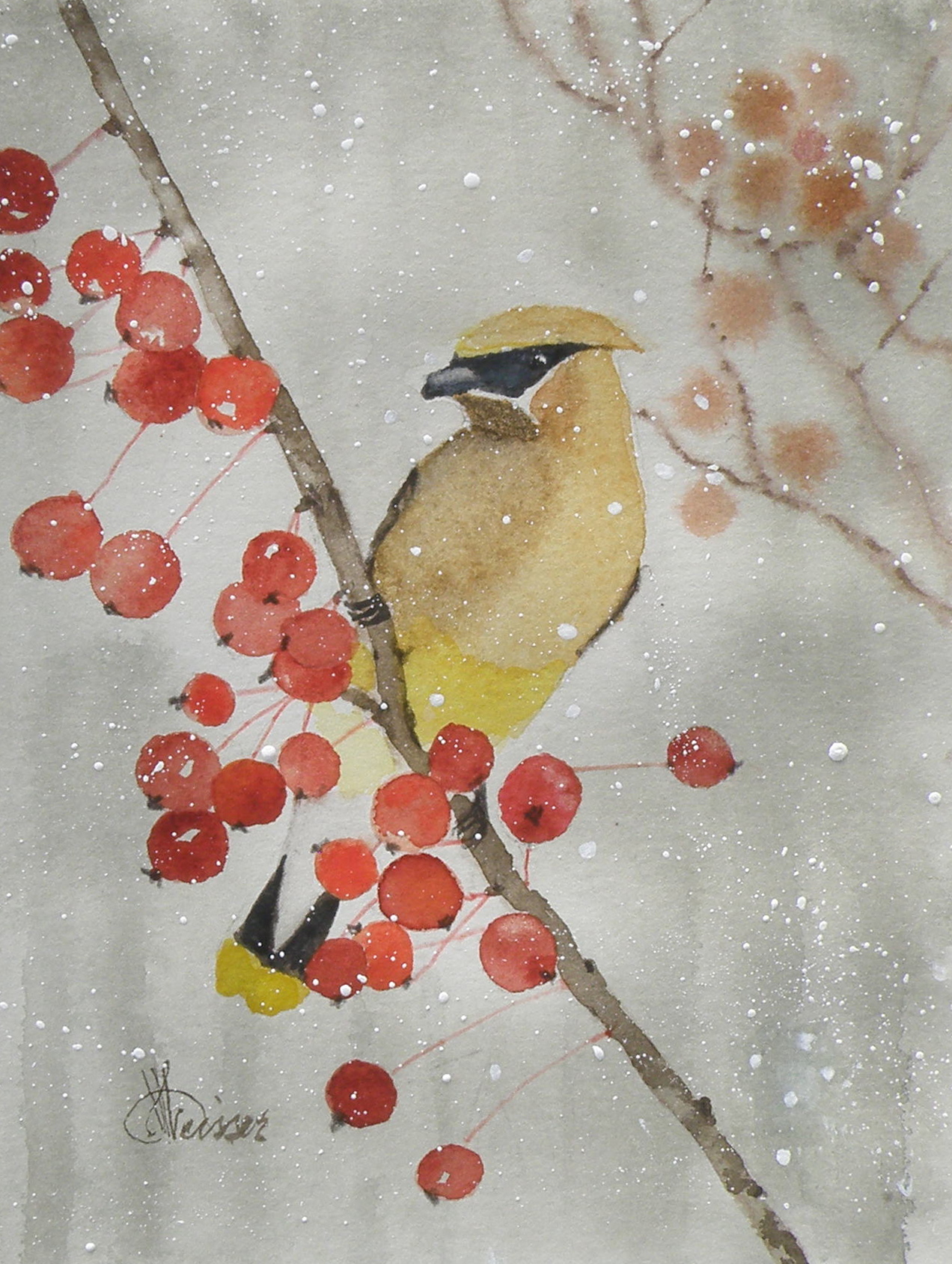 cedar waxwing miniature 5x7 april 2016