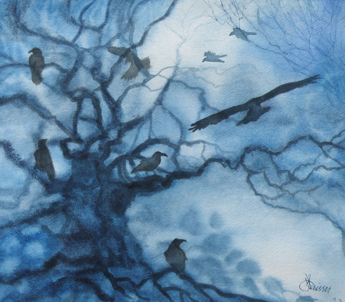 raven mood 9x10 august 2107