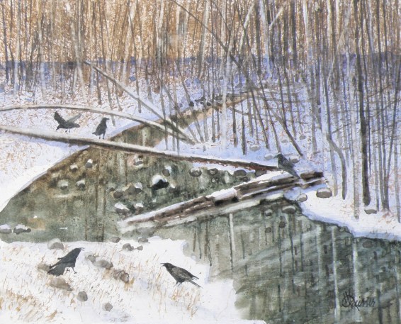 Stillness Broken, 8 x 10, January 2019